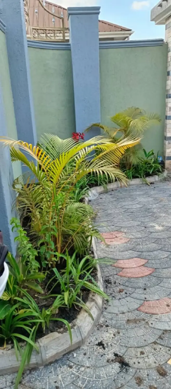 Compound Designing Services to Beautify Your Outdoors