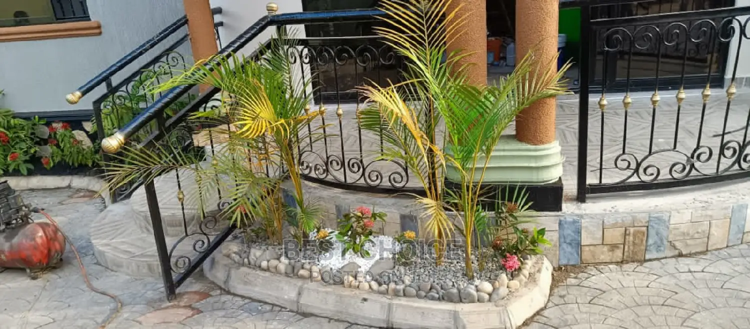 Compound Designing Services to Beautify Your Outdoors