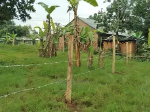 120x56 Land With House for Sale in Ssanga-Matugga