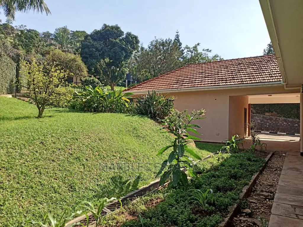 4bdrm House in Muyenga, Central Division for Rent