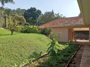 4bdrm House in Muyenga, Central Division for Rent