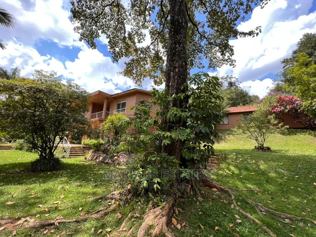 3bdrm House in Mbuya, Central Division for Rent