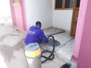 Rugs/Carpet Cleaning Services