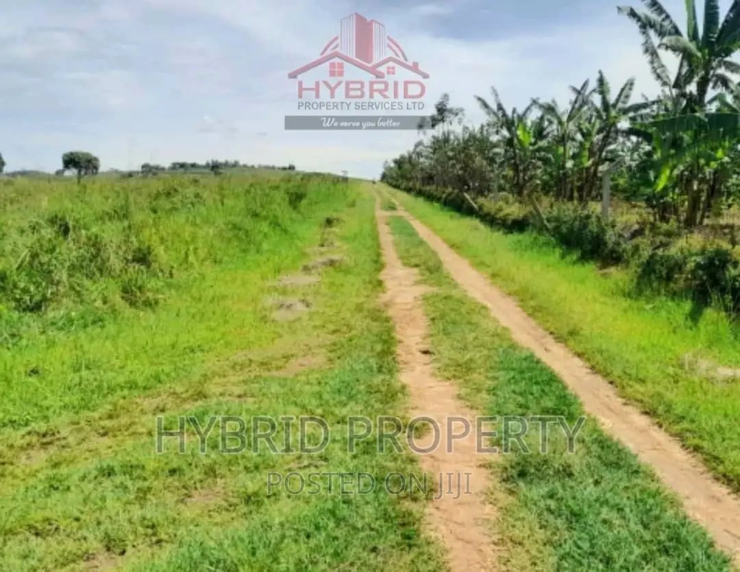 Plots for Sale at Bujjuko 250 Mega Land Estate~Mityana Road.