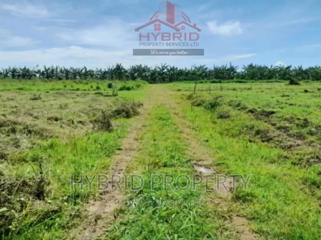 Plots for Sale at Bujjuko 250 Mega Land Estate~Mityana Road.