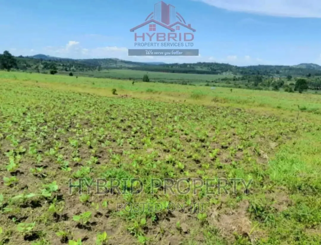 Plots for Sale at Bujjuko 250 Mega Land Estate~Mityana Road.