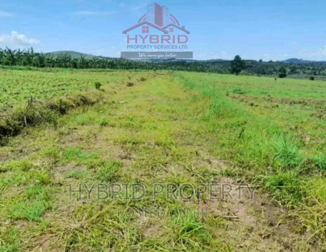Plots for Sale at Bujjuko 250 Mega Land Estate~Mityana Road.