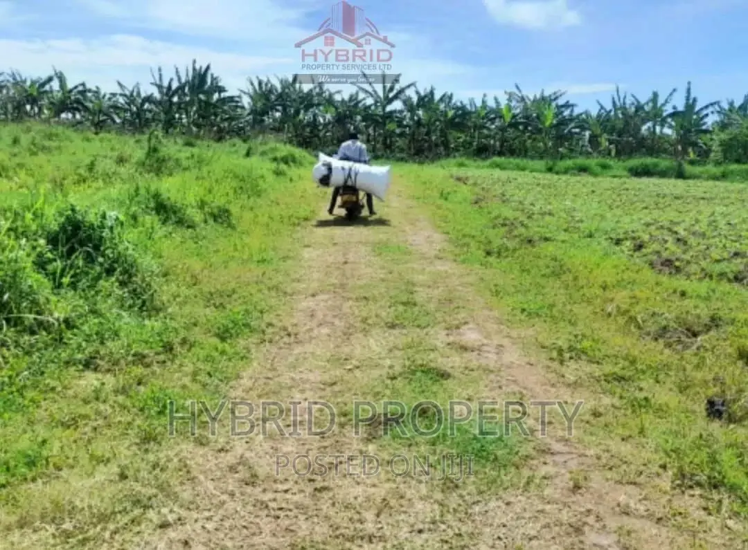 Plots for Sale at Bujjuko 250 Mega Land Estate~Mityana Road.