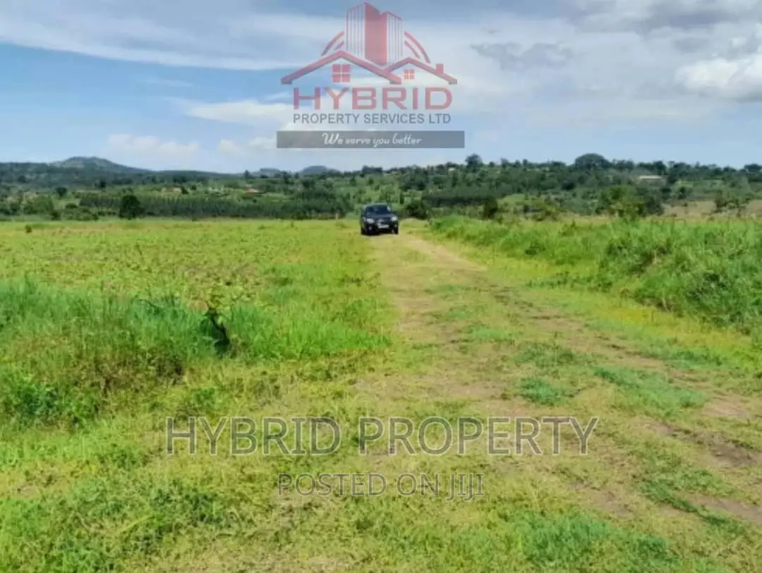 Plots for Sale at Bujjuko 250 Mega Land Estate~Mityana Road.