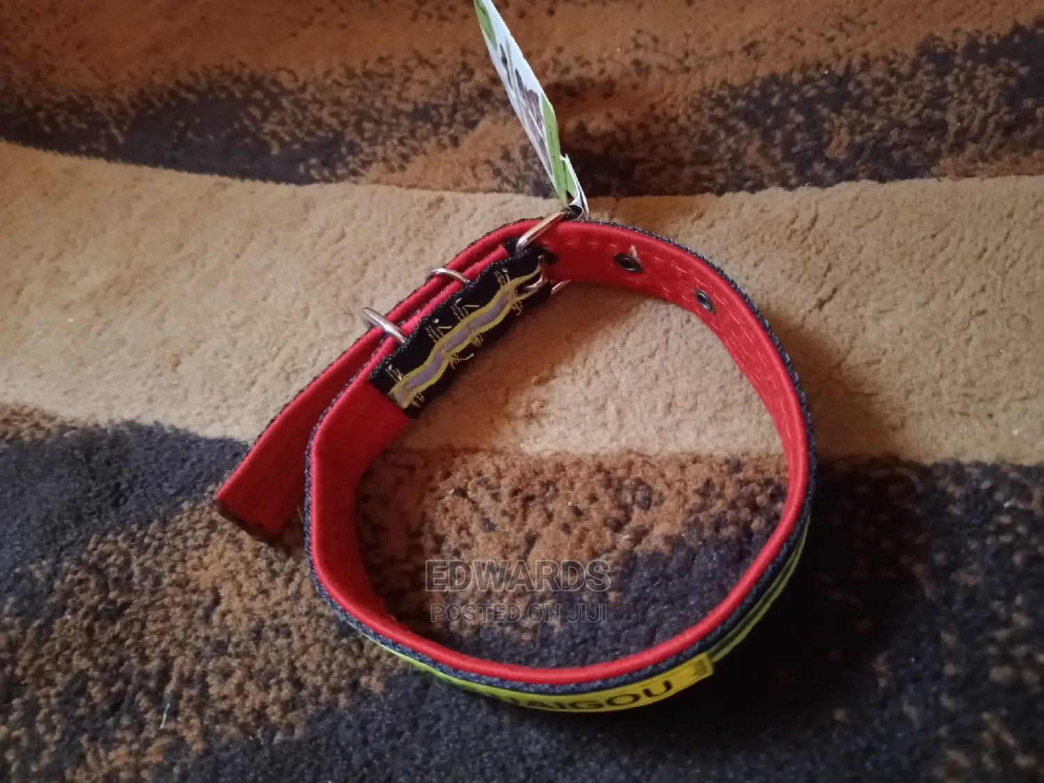 Black and Yellow Dog Collars