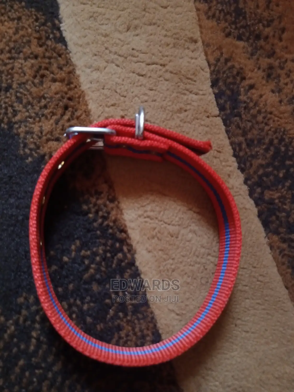 Red Dog Collar