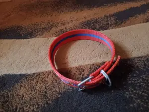 Red Dog Collar