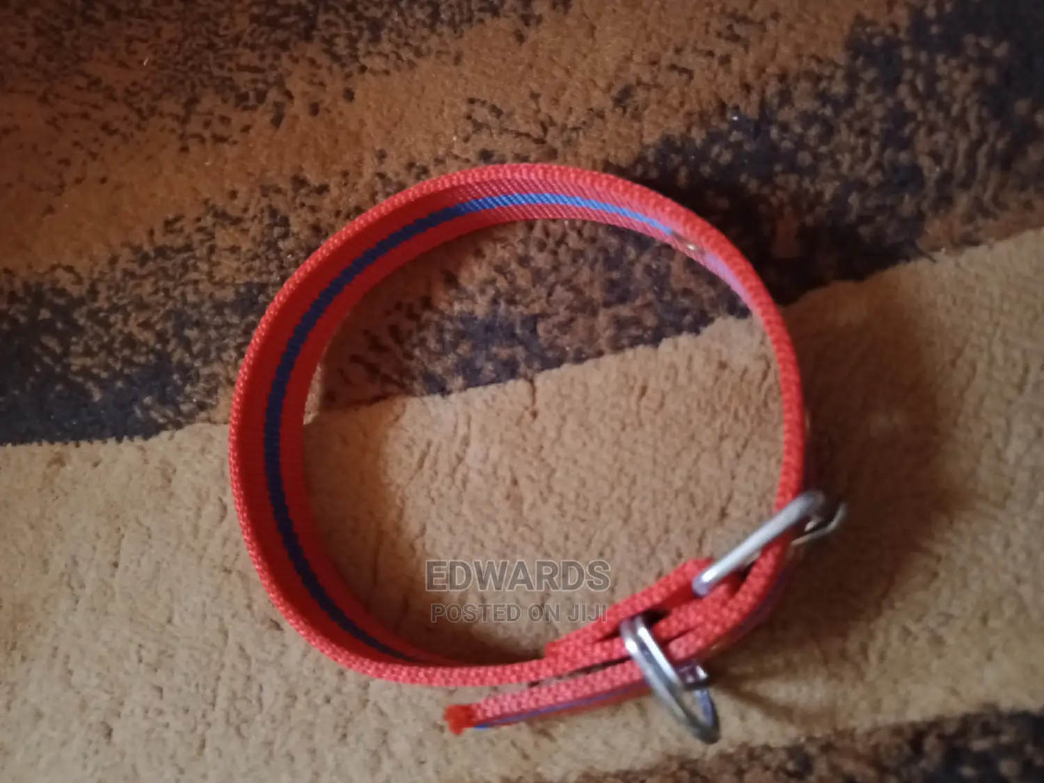 Red Dog Collar