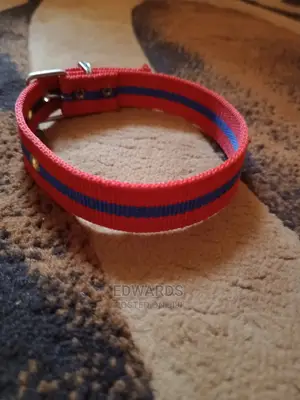 Red Dog Collar