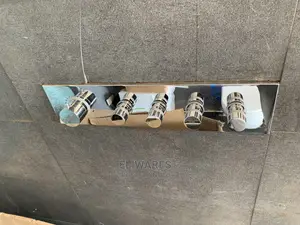 Concealed Over Head Shower