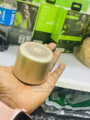 Photo - Mini Boss Speaker (A Pair)