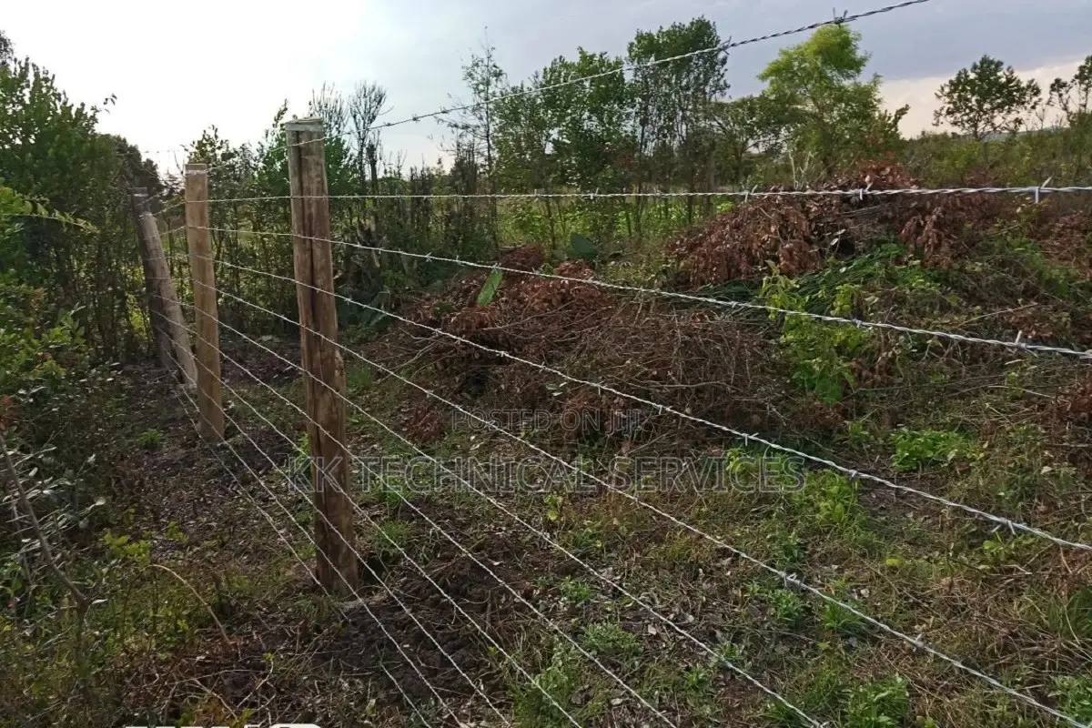 Barbed Wire Fencing
