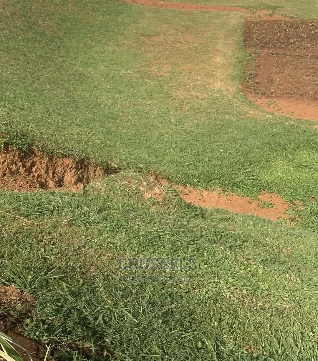 Plot of Land for Sale in Bira on Sentema Road From Masanafu