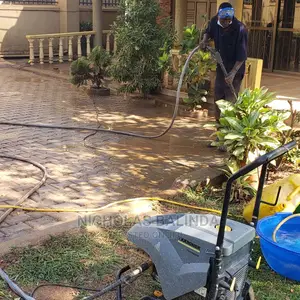 Fast Service of Paver Cleaning