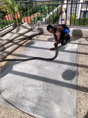 Steam Carpet Cleaning