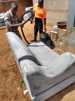 We Offer the Professional Sofa Cleaning