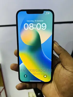 Apple iPhone 12 Pro Max 256 GB Blue