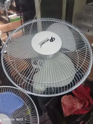 Ceiling Fan Dp