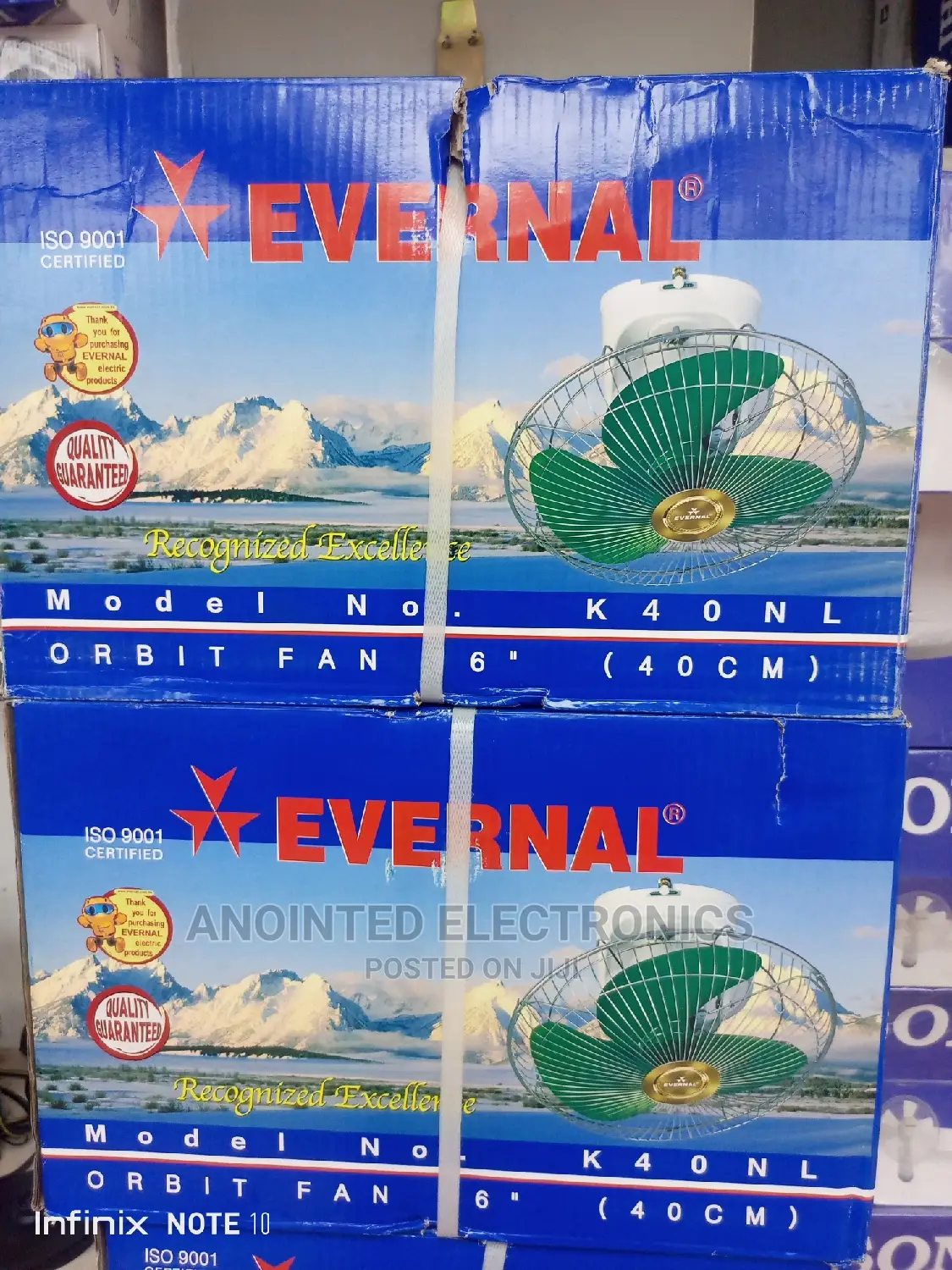 Evernal Ceiling Fan