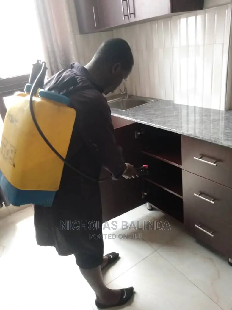 Apartment Fumigation