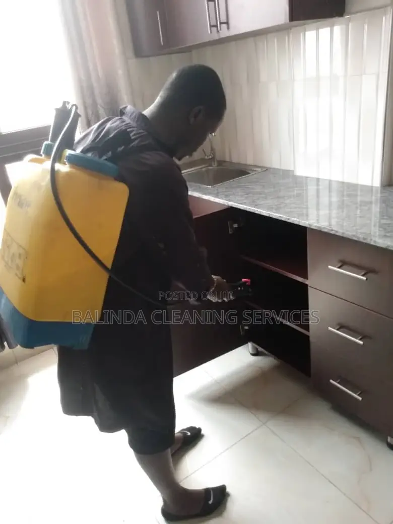 Apartment Fumigation
