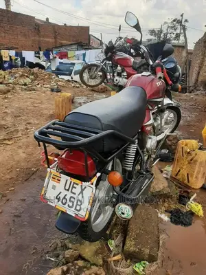TVS 2021 Purple