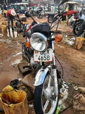 TVS 2021 Purple