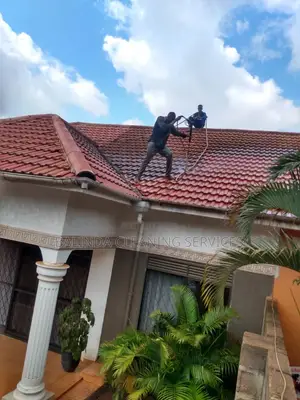 Standard Roof Tiles Cleaners