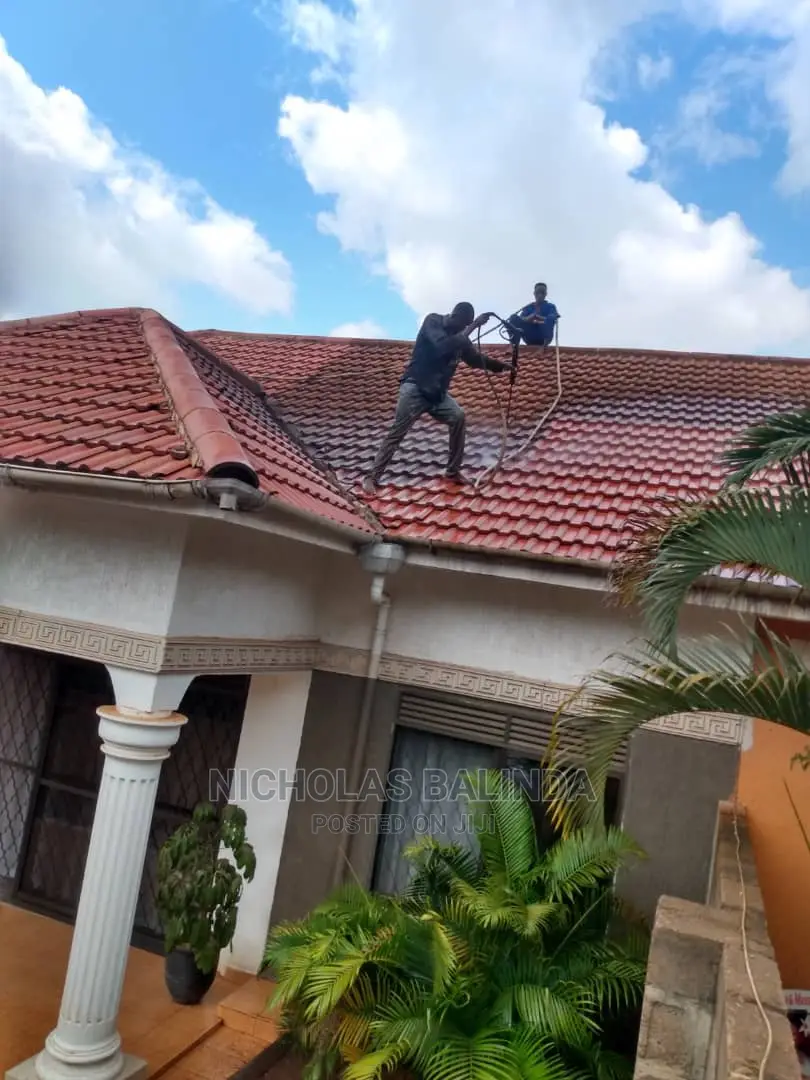 Standard Roof Tiles Cleaners