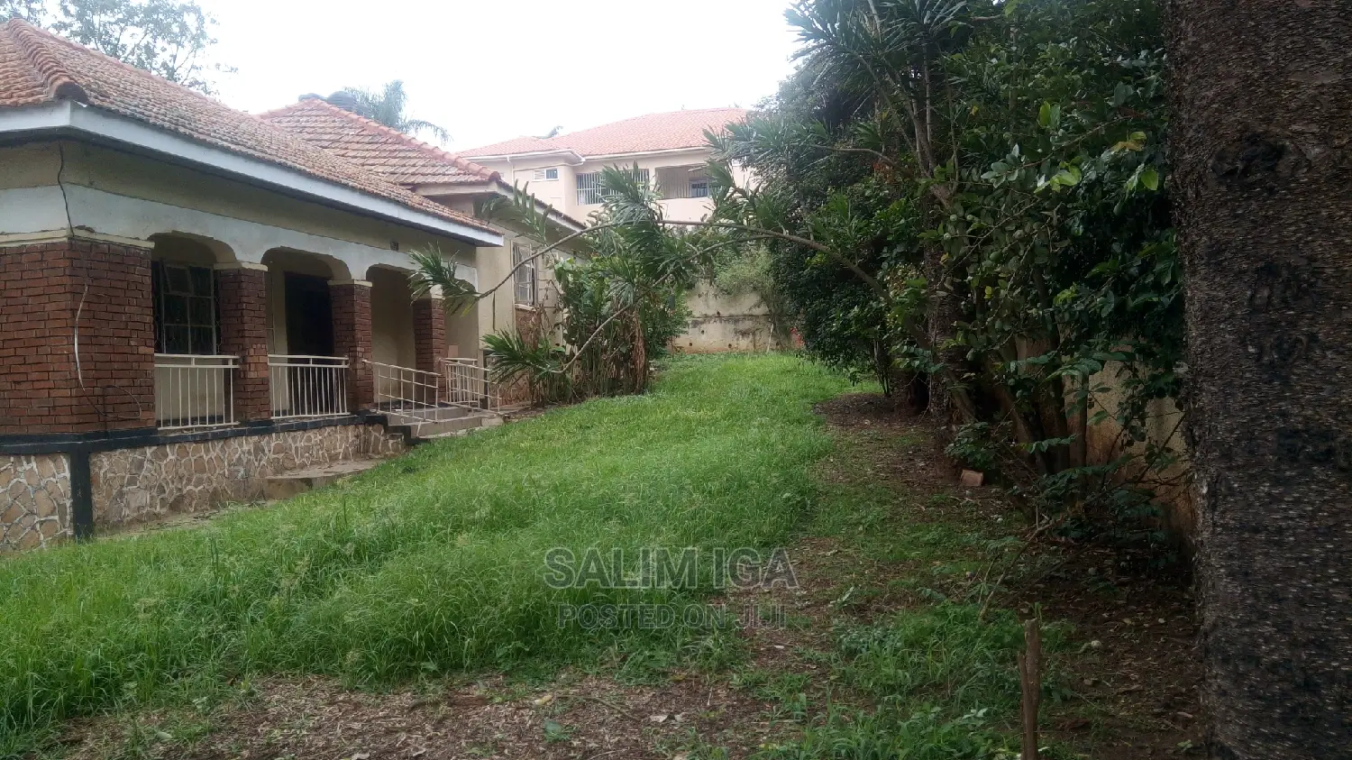 4bdrm Bungalow in Kololo Property, Central Division for Rent