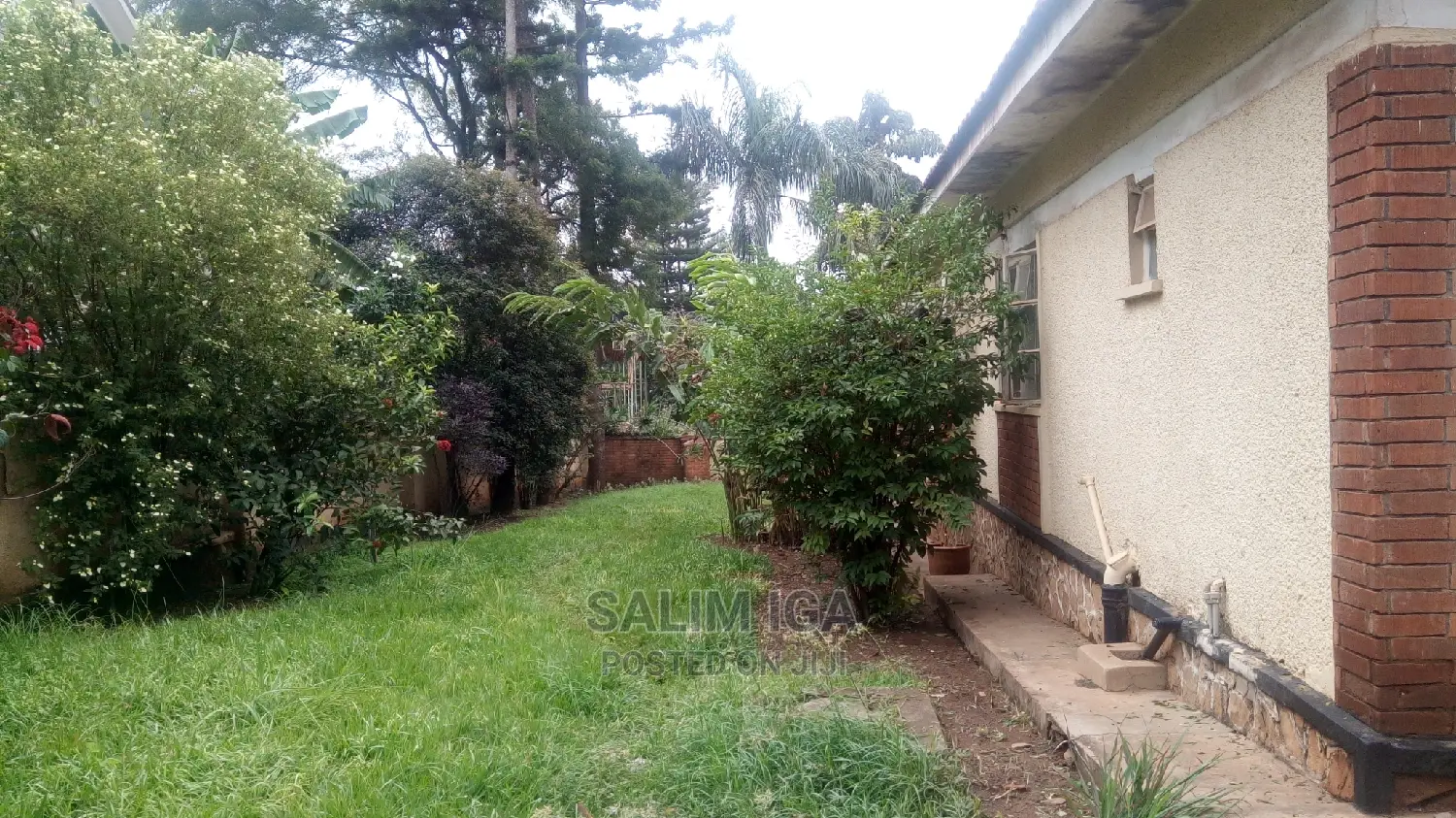 4bdrm Bungalow in Kololo Property, Central Division for Rent