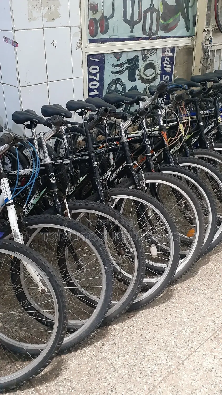 Japanese Sports Bicyles