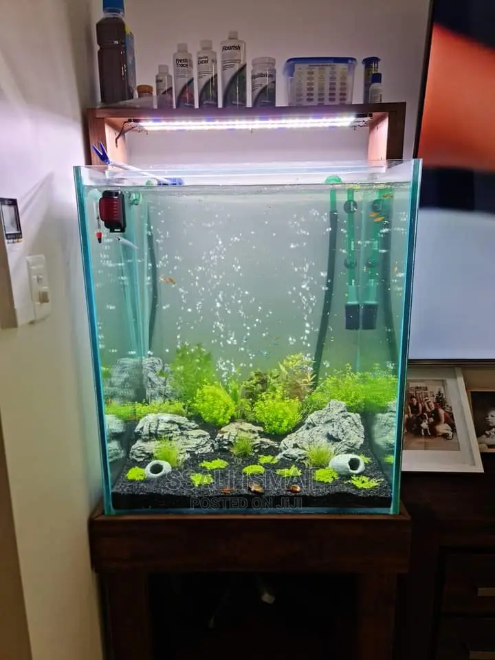 Simple and Precise Aquarium