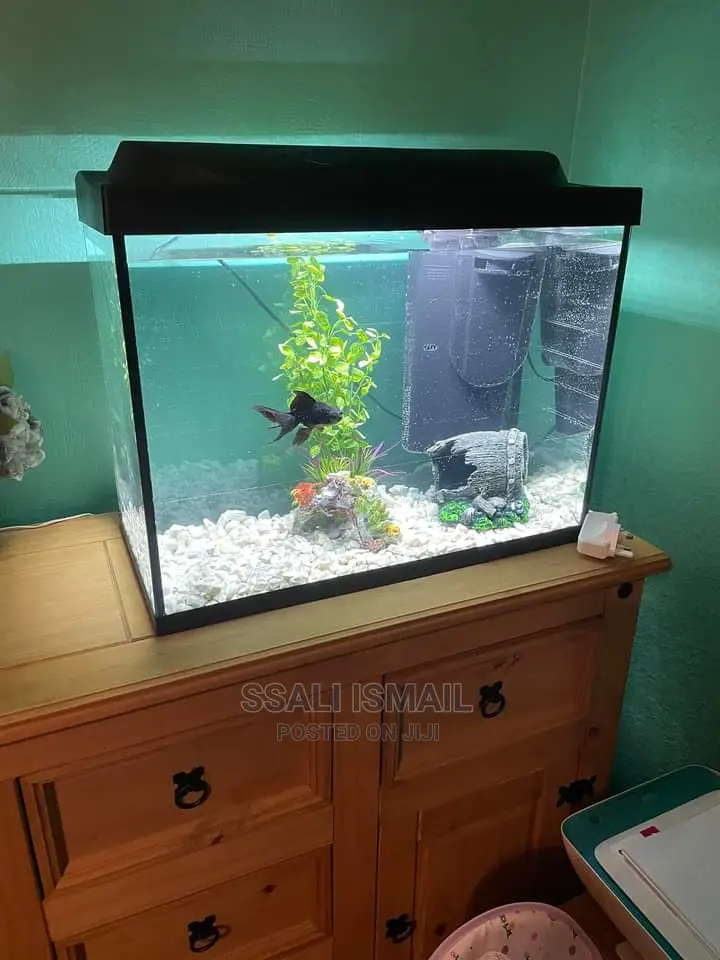 Simple and Precise Aquarium