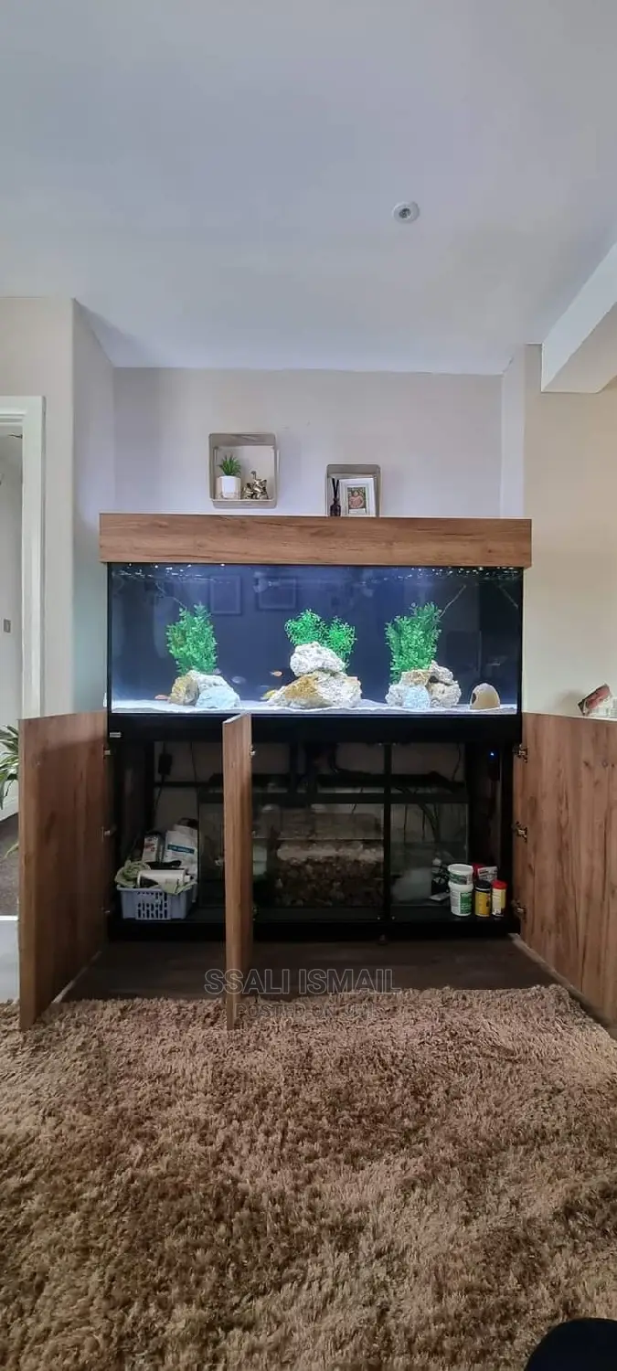 Exellently Made by Aquarium Proffession