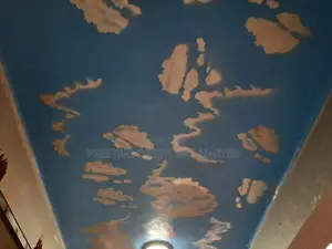 Elegant Ceiling Paint Designs