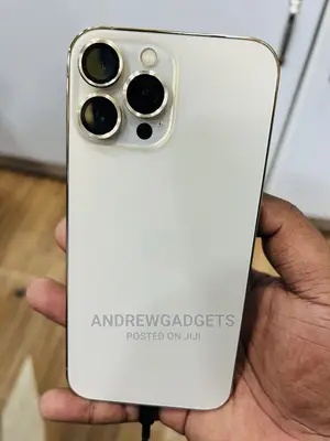 Apple iPhone 13 Pro Max 1 TB Gold