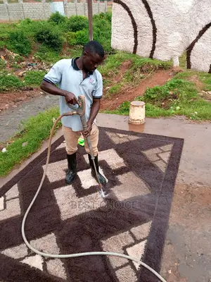 Carpet Cleaning to Get Rid of Dust Stains Bad Smell.