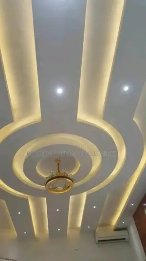 Ceiling Project Aa