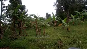 Residential Land