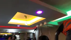 Ceiling Project Number 0009