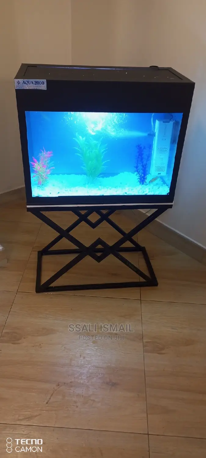 Best Aquarium on a Mettalic Stand in Makindye Fish, Aqua Uganda Jiji.ug