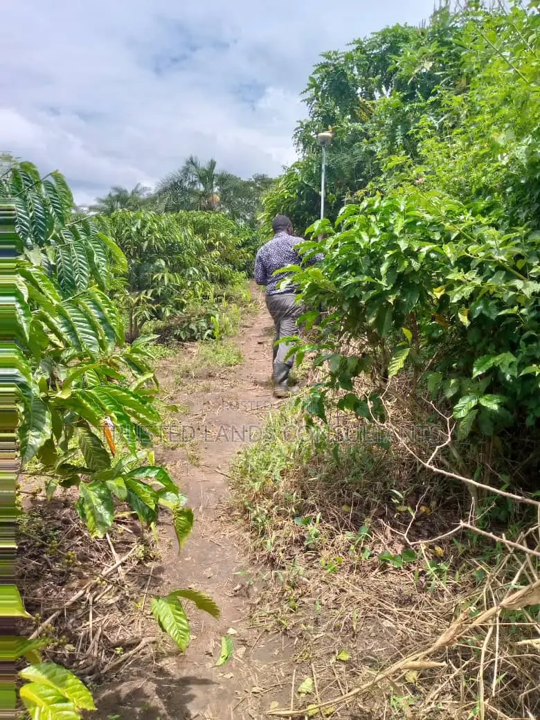 Land Surveys and Documents Processing