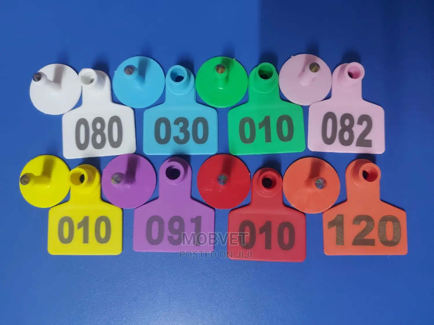 Goats Ear Tags With Permanent Markings