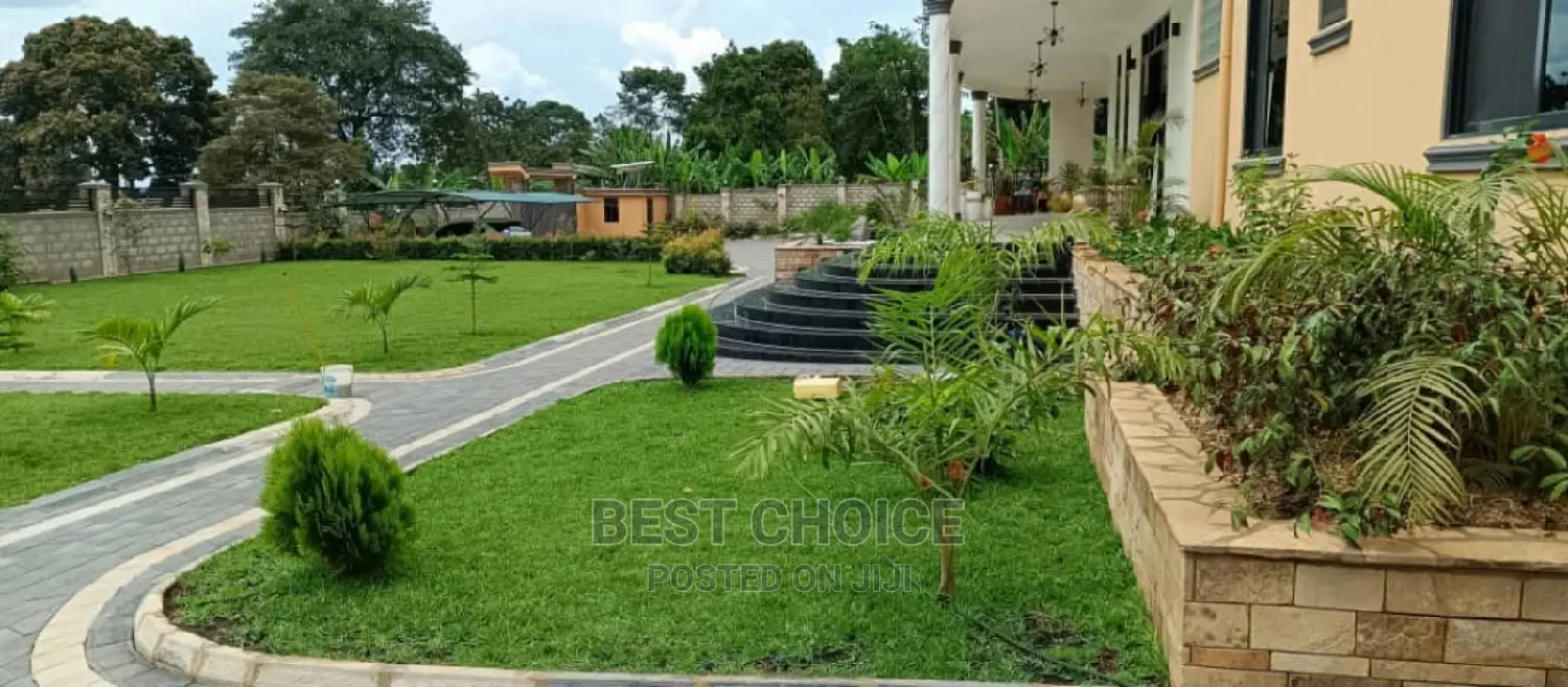 Uganda Best Compound Designers and Land Scaping Services.